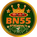 Bn55 Game